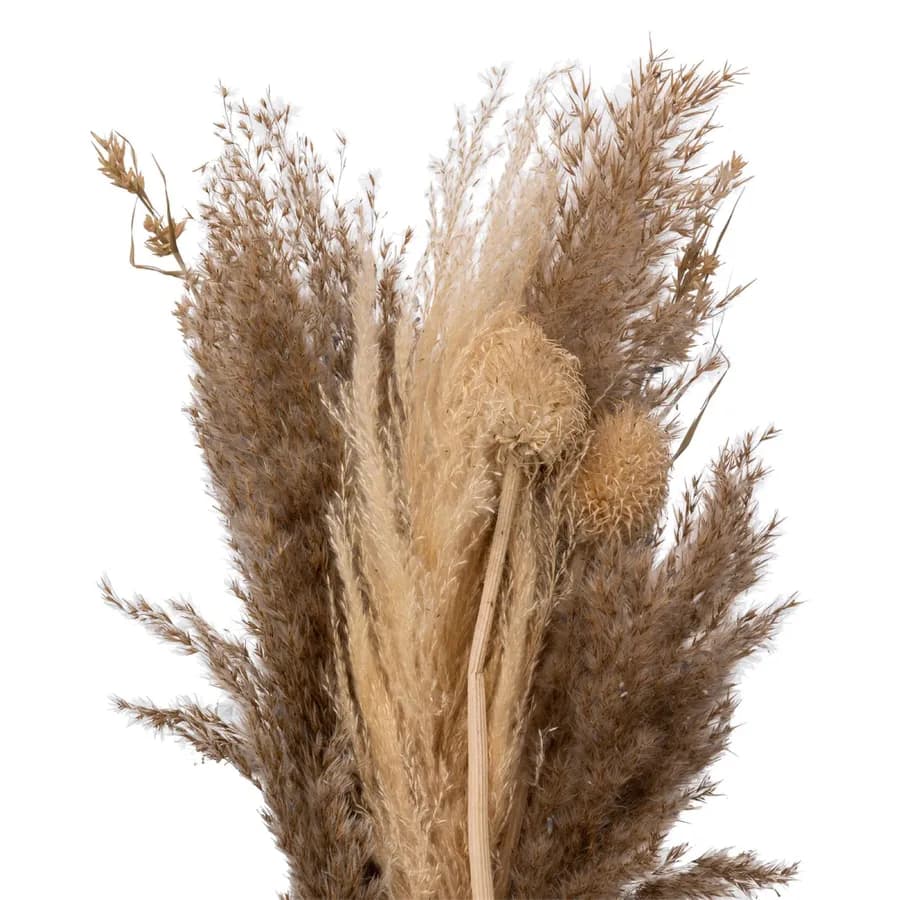 Bouquet di pampa decorativo 58h cm naturale