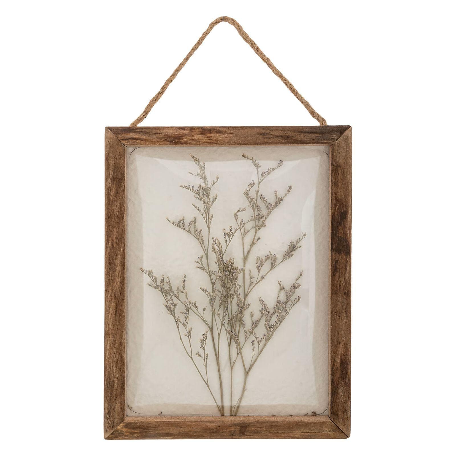 Decorazione da parete 25h cm in legno e vetro curvo con fiori essiccati