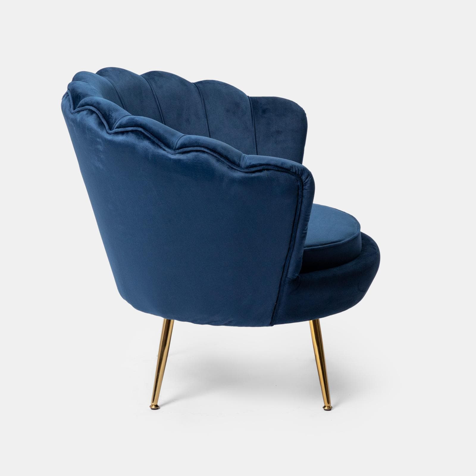 Poltrona conchiglia in velluto blu con seduta imbottita e gambe oro - Snob
