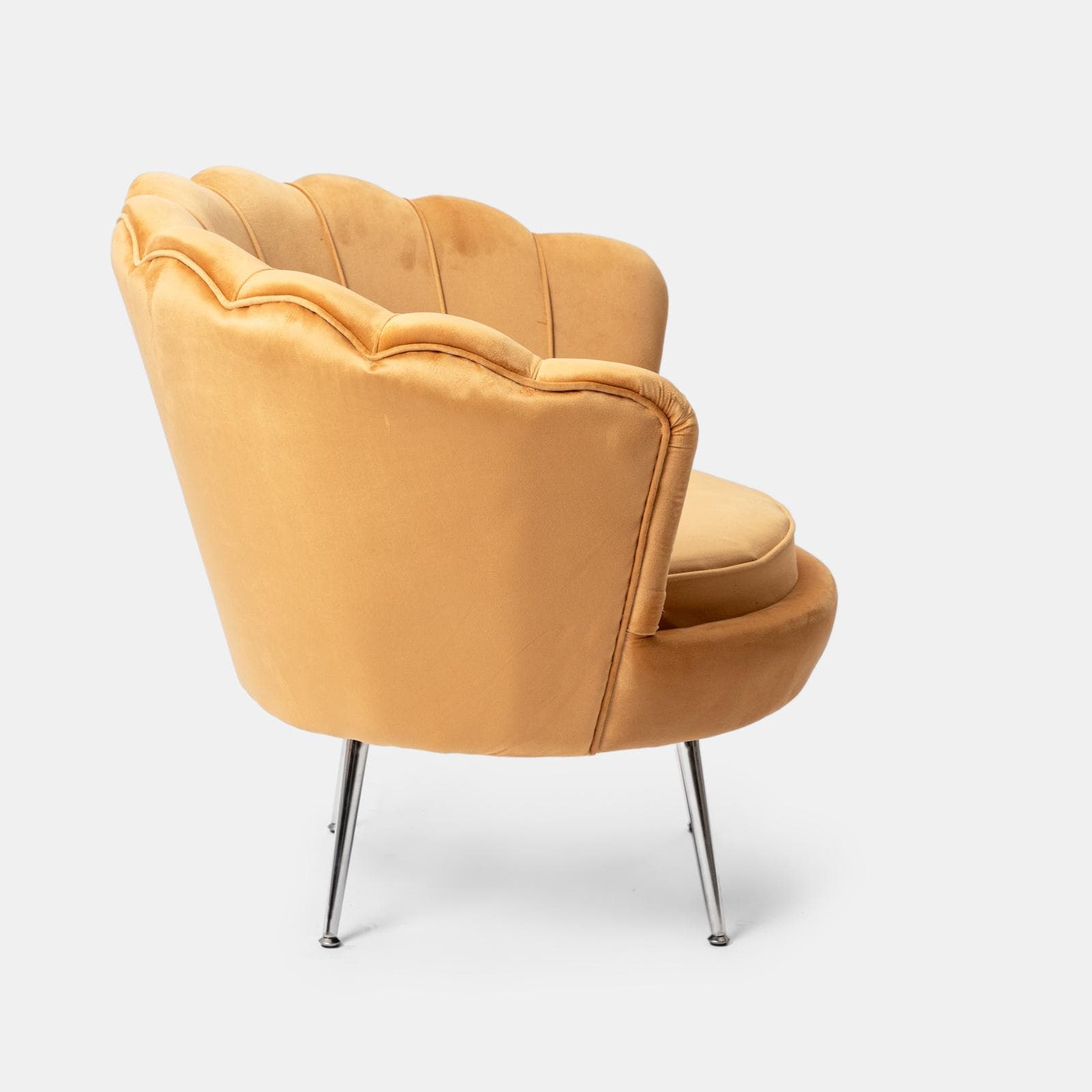 Poltrona conchiglia in velluto senape con seduta imbottita e gambe cromo - Snob