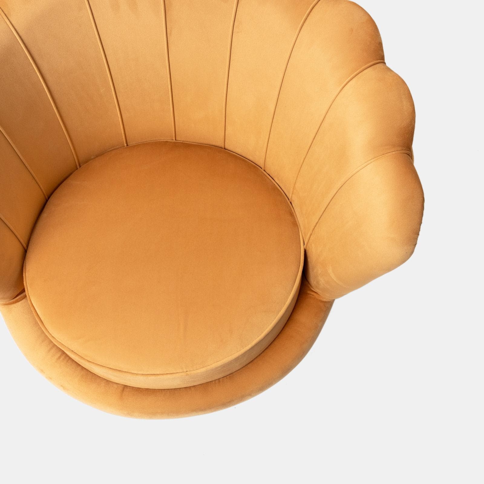 Poltrona conchiglia in velluto senape con seduta imbottita e gambe cromo - Snob