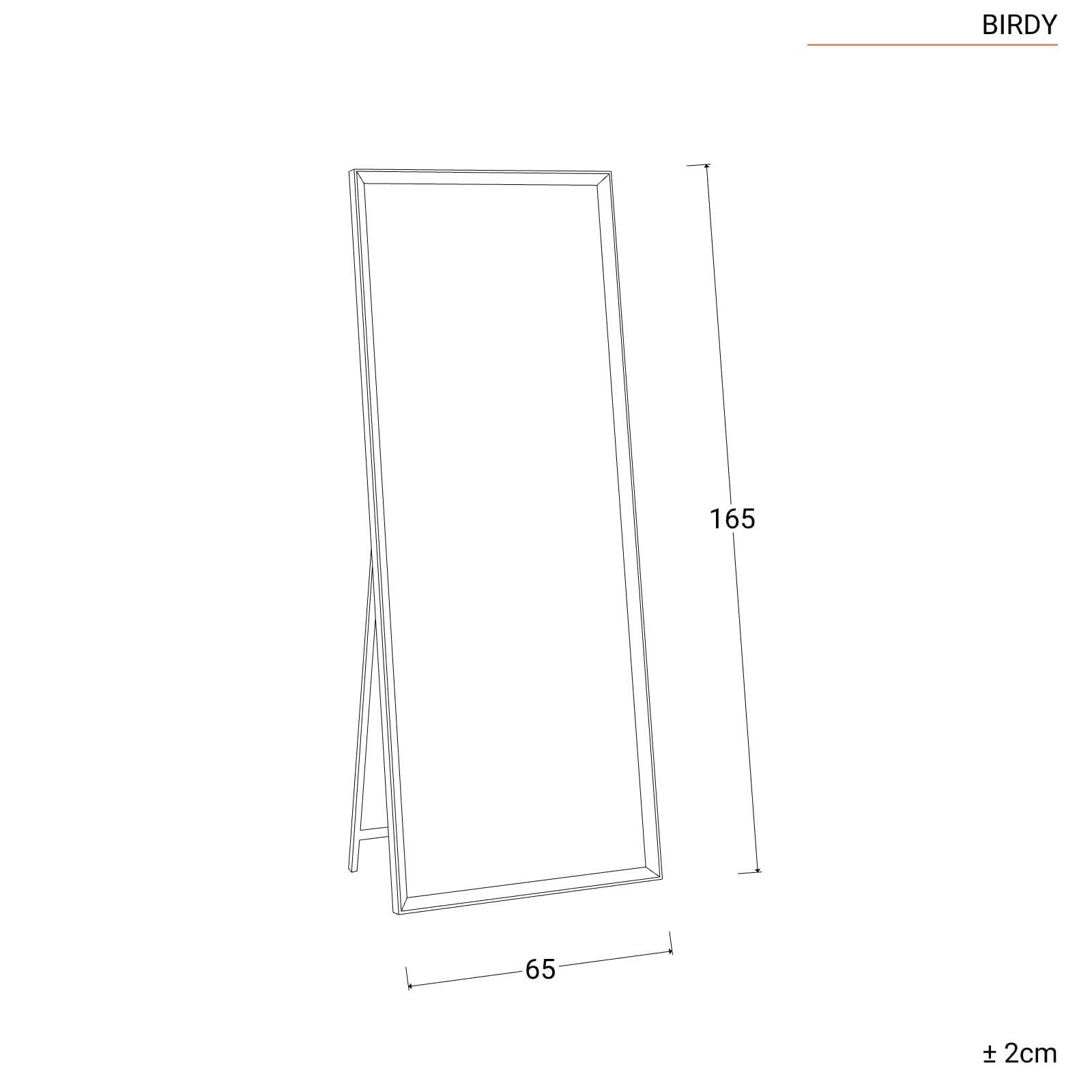 Specchio da terra 65x165h cm con cornice nero - Birdy