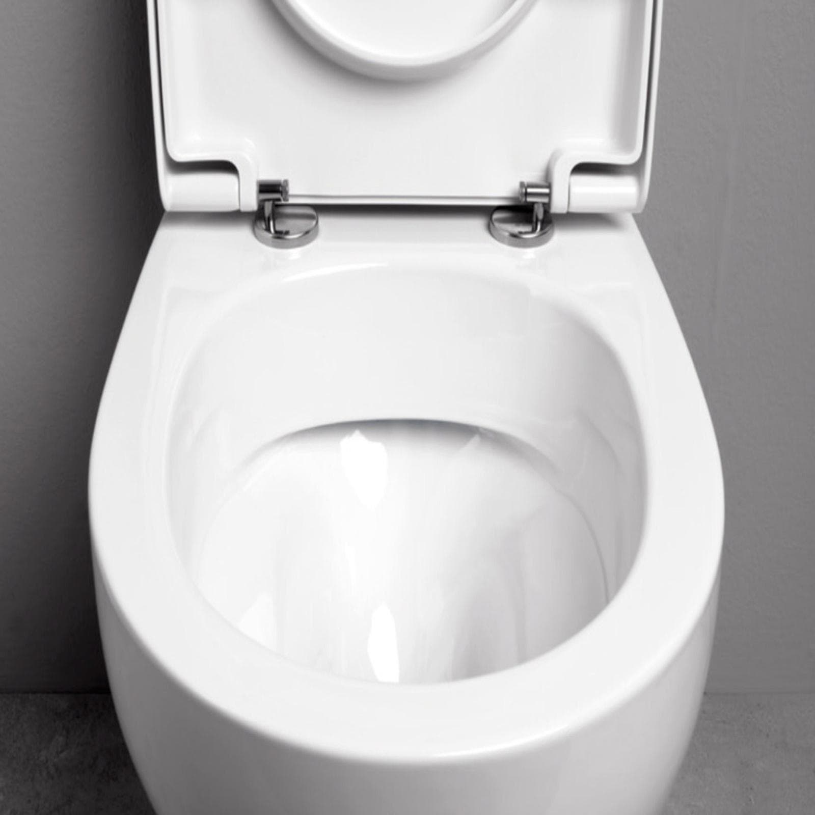 Vaso singolo Azzurra Pratica in ceramica wc con sedile scarico traslato water filomuro